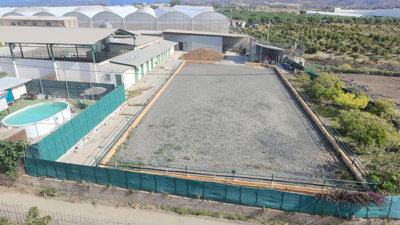 9967476