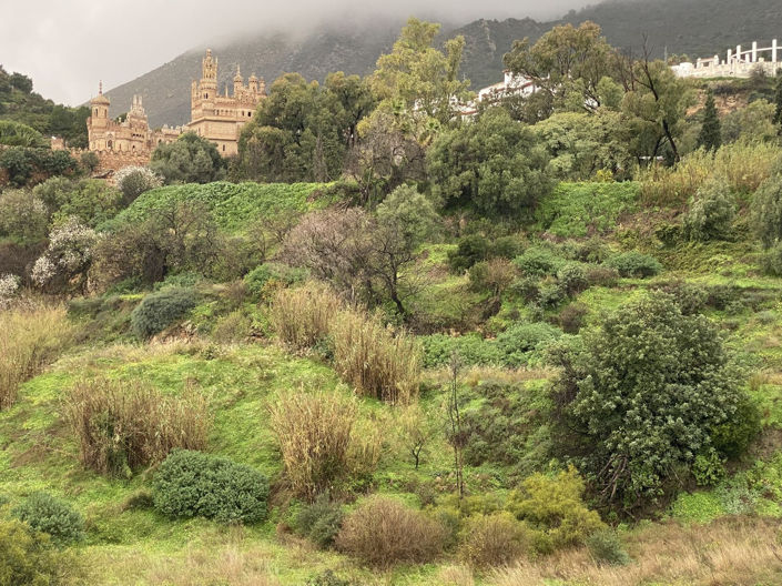 Image No.39-3 Bed Villa for sale