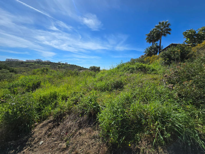 Image No.5-Propriété à vendre à Casares