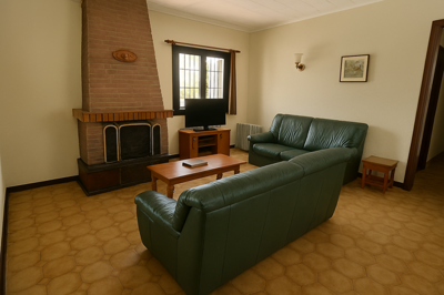 rs10036la-duquesamalagadetached-villa11