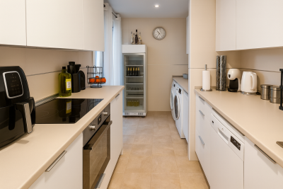 Modern-Galley-Kitchen-Interior