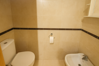 Modern-Bathroom-with-Toilet-and-Bidet