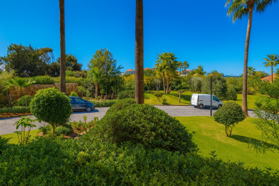 Sunny-Residential-Street-with-Palm-Trees