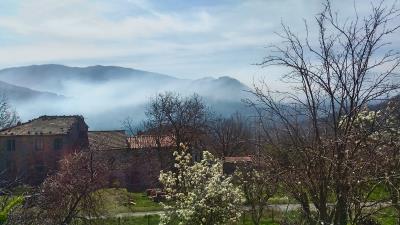 P_20190401_105946_HDR