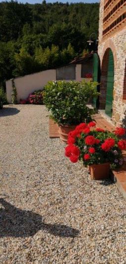 Image No.5-Villa de 5 chambres à vendre à Lucca