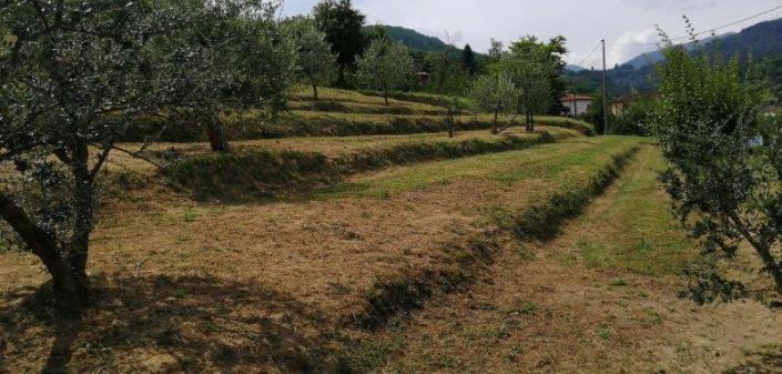 Image No.17-Villa de 5 chambres à vendre à Borgo a Mozzano
