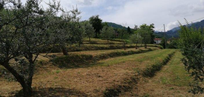 Image No.18-Villa de 5 chambres à vendre à Borgo a Mozzano