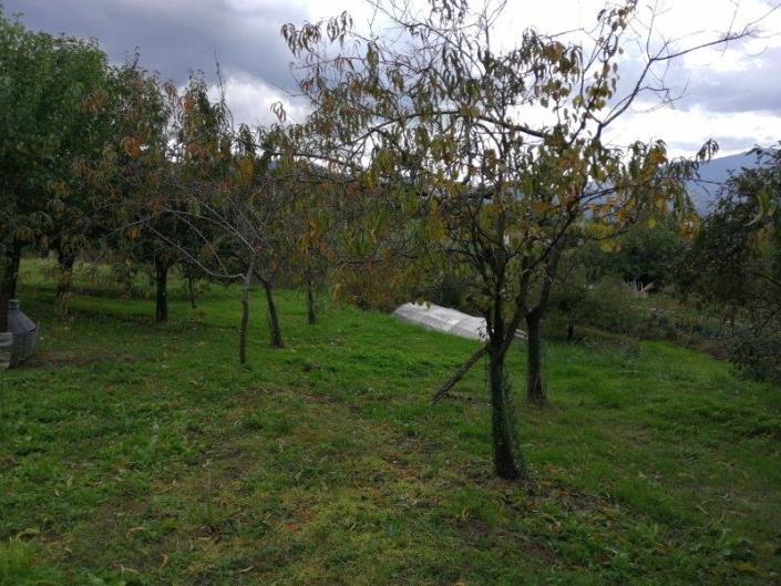 Image No.18-3 Bed House for sale