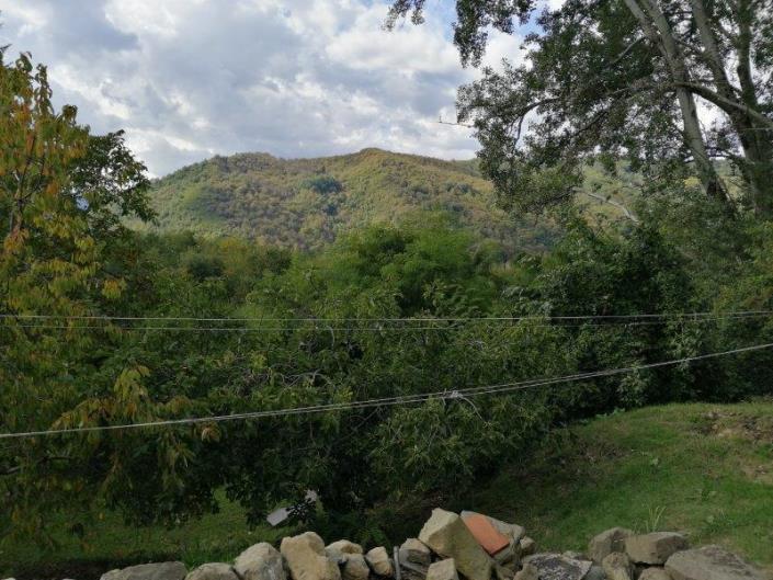 Image No.22-3 Bed House for sale