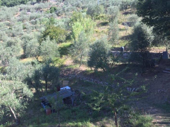 Image No.9-Maison de 3 chambres à vendre à Borgo a Mozzano