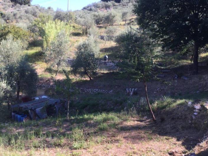 Image No.17-Maison de 3 chambres à vendre à Borgo a Mozzano
