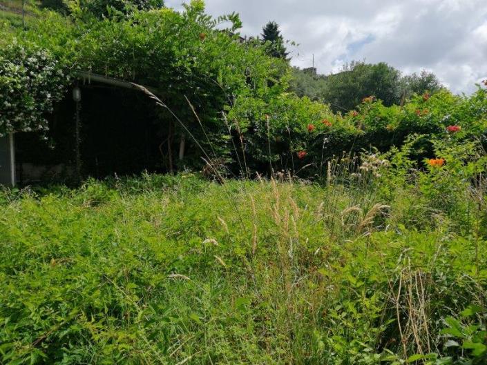 Image No.9-Maison / Villa de 6 chambres à vendre à Borgo a Mozzano