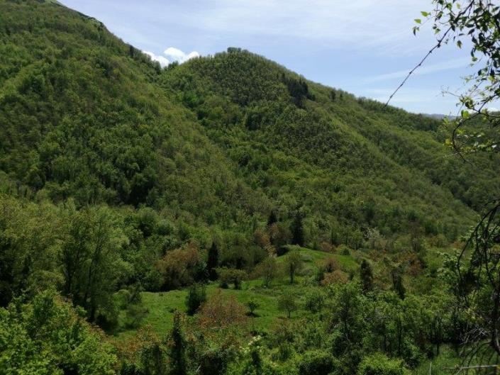 Image No.8-Maison de 3 chambres à vendre à Bagni di Lucca