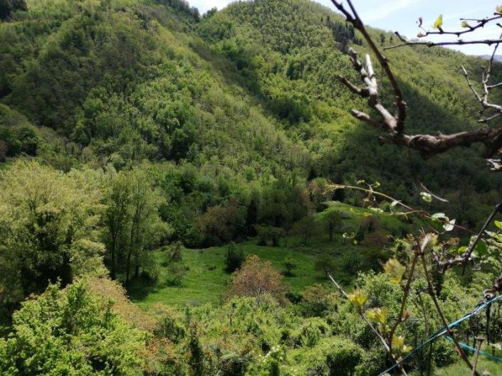 Image No.12-Maison de 3 chambres à vendre à Bagni di Lucca