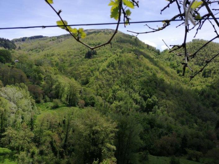 Image No.13-Maison de 3 chambres à vendre à Bagni di Lucca