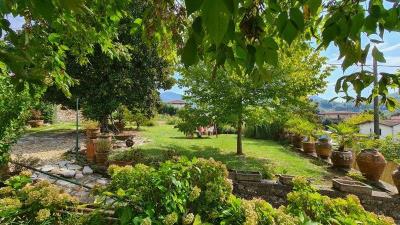 Garden-2