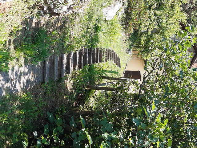 Image No.33-Maison de 3 chambres à vendre à Borgo a Mozzano
