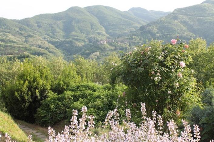 Image No.7-Maison / Villa de 4 chambres à vendre à Coreglia Antelminelli