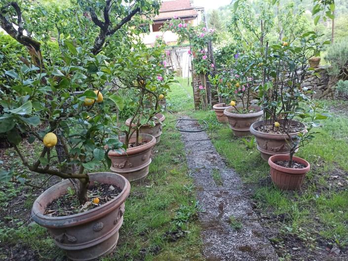 Image No.32-Villa de 6 chambres à vendre à Bagni di Lucca