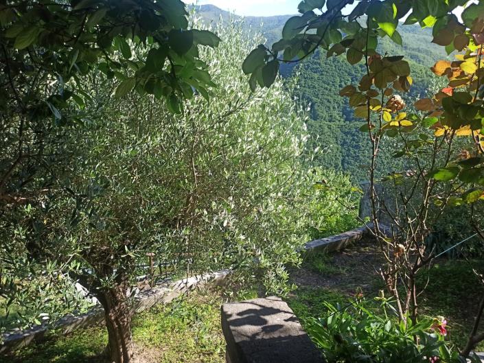 Image No.15-Maison de 4 chambres à vendre à Bagni di Lucca