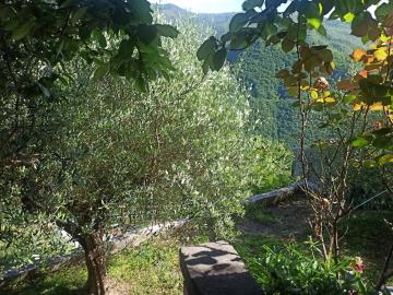 IMG-20250518-WA0016