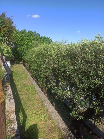 Image No.24-Maison de 4 chambres à vendre à Bagni di Lucca