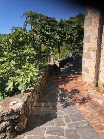 Image No.25-3 Bed House for sale