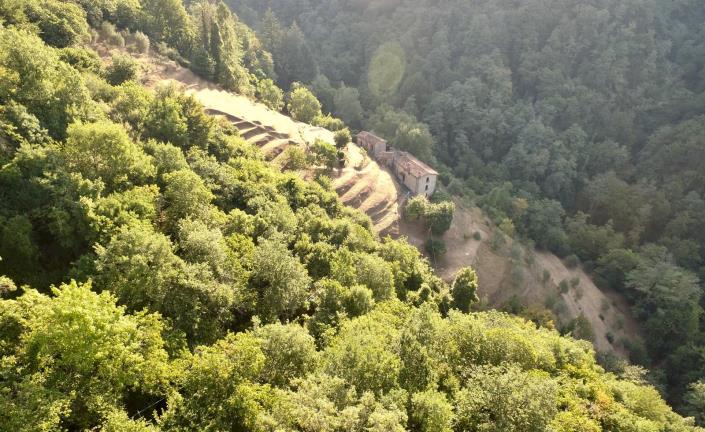 Image No.38-3 Bed House for sale