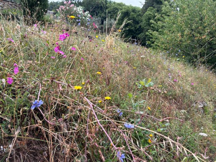 Image No.60-3 Bed House for sale