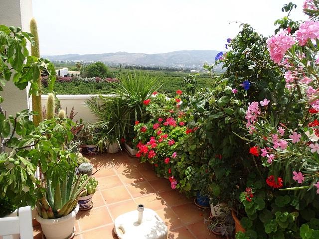 Image No.27-4 Bed Townhouse for sale