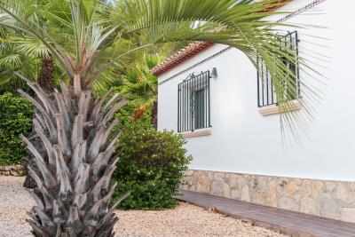 cons-fotografia-consfotografia-pisos-denia-tamarit_X4A1509