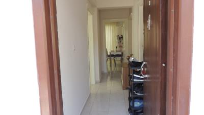 Didim-SHH-1298--3-