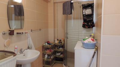 Didim-SHH-1298--14-