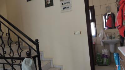 Imbat-SHH-1351--13-
