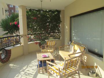 Imbat-SHH-1351--24-