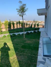 Didim-SHH-1379--3-