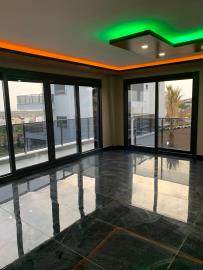 Didim-SHH-1379--15-