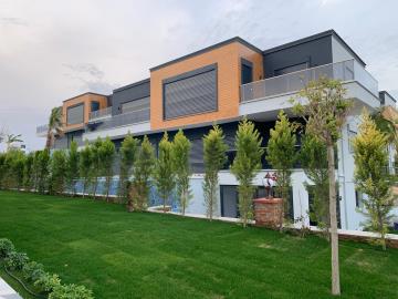 Didim-SHH-1379--26-