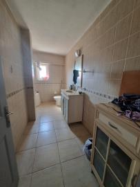 Didim-SHH-1419--13-