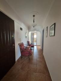 Didim-SHH-1419--14-