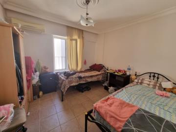 Didim-SHH-1419--15-