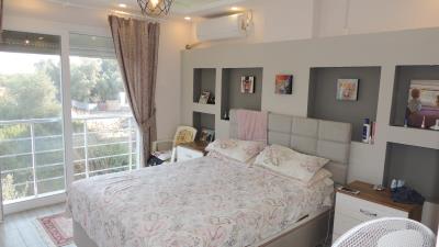 Didim-SHH-1428--19-