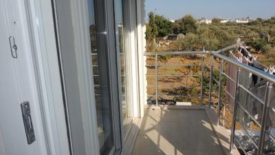 Didim-SHH-1428--20-