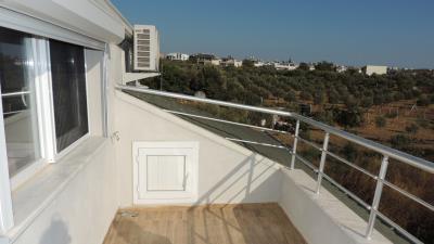 Didim-SHH-1428--24-