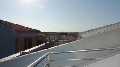 Didim-SHH-1428--25-
