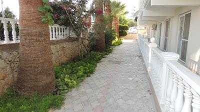 Mavisehir-SHH-1431--21-