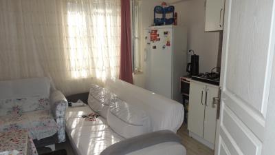 Didim-SHH-1435--4-