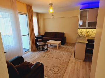 Didim-SHH-1449--12-