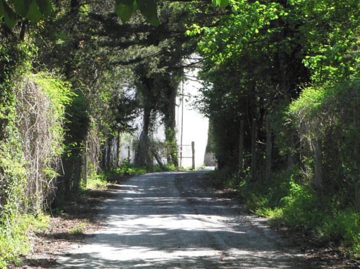 Image No.22-Maison de 6 chambres à vendre à Sefro