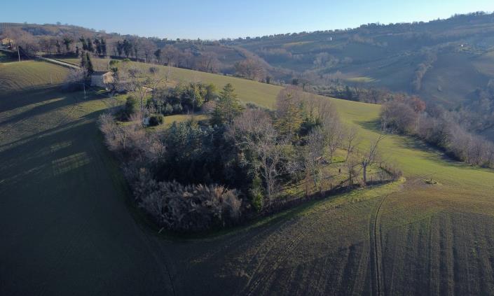 Image No.3-4 Bed Country House for sale